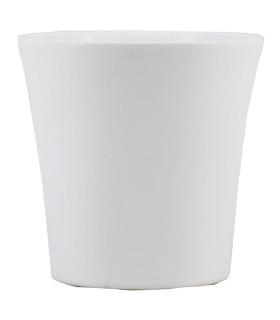 C.POT ORCHIDEE BLANC 013.5 H13.5CM les 6P