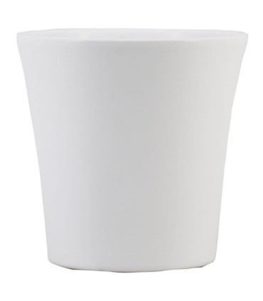 C.POT ORCHIDEE BLANC 013.5 H13.5CM les 6P