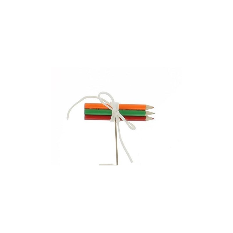 CRAYON BOIS ASSORT.COULEUR PIQUE  /12P