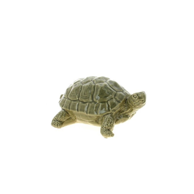 TORTUE VERNIS 27X21 H13.5CM à la pièce