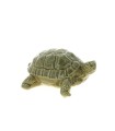 TORTUE VERNIS 27X21 H13.5CM à la pièce