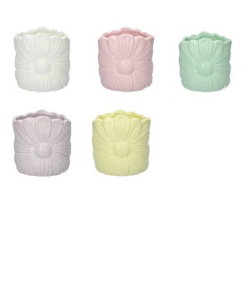 C.POT MARGUERITE  013.5 H15CM les 6P