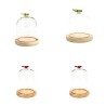 VERRE CLOCHE PAPILLON 010 H15CM les 6P