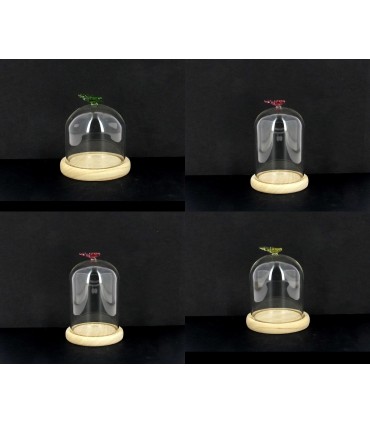 VERRE CLOCHE PAPILLON 010 H15CM les 6P