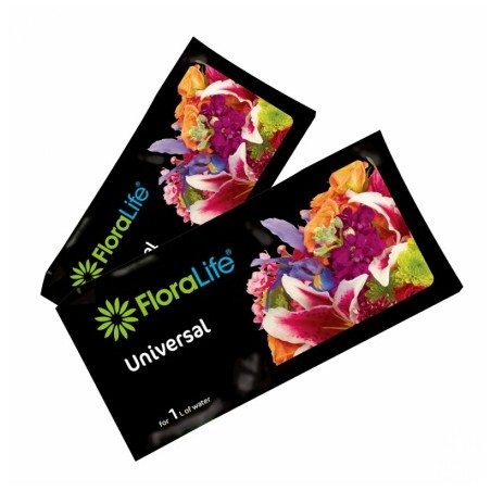 OASIS FLORALIFE les 1000 sachets 10gr EXPRESS (dosage 1 litre)