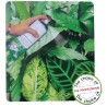 BRILLANT POUR PLANTES 600ML-750ML.