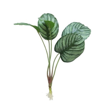 FEUILLE CALATHEA + RACINE 40CM à la pièce