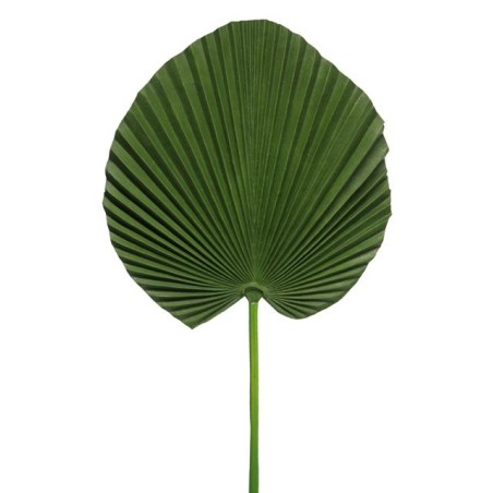 FEUILLE PALMIER VERT 78CM à la pièce