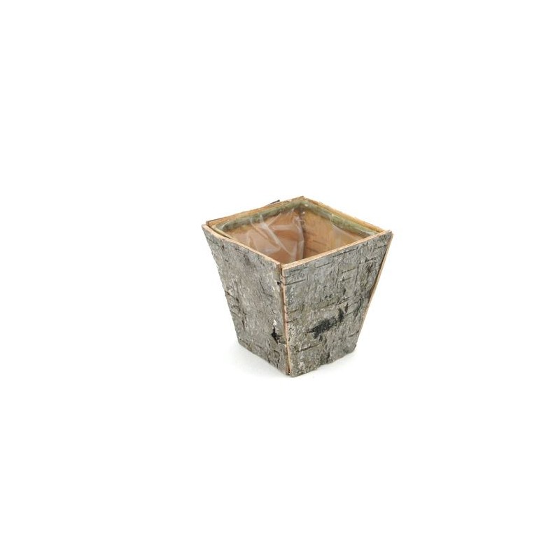 C.POT BOULEAU évasé 08X08 H08CM/1P