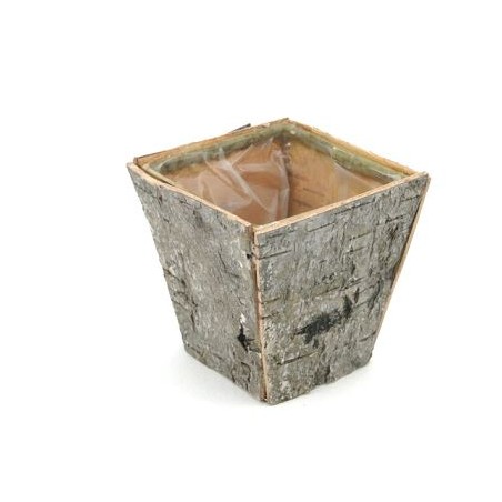 C.POT BOULEAU évasé 08X08 H08CM/1P
