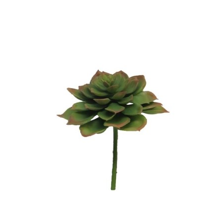 FLEUR EUCHEVERIA VERT 17CM à la pièce
