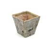 C.POT BOULEAU évasé 08X08 H08CM/1P