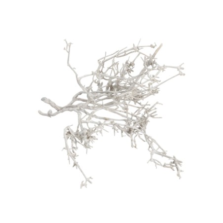 BRANCHAGE SEC BLANCHI 250gr