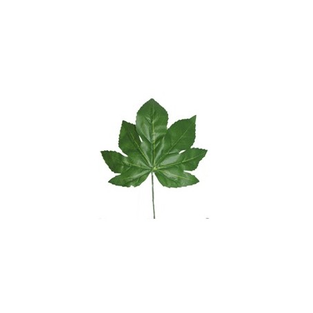 FEUILLE DE FATSIA H42CM /12P