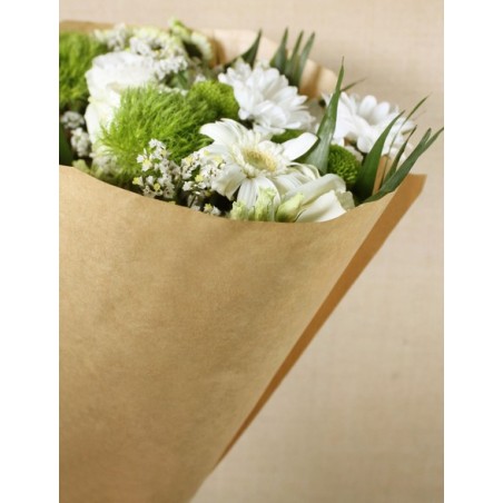 CONE KRAFT NATUREL BIO 50X44X12CM  / 50P
