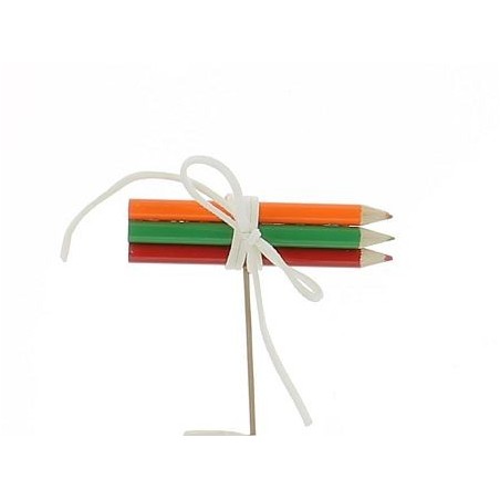 CRAYON BOIS ASSORT.COULEUR PIQUE  /12P