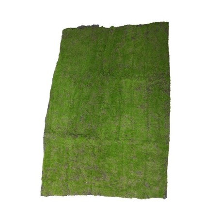 TAPIS DE MOUSSE 100X100 CM à la pièce
