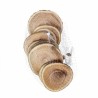 TRANCHE DE BOIS naturel 08 à 10CM les 10P