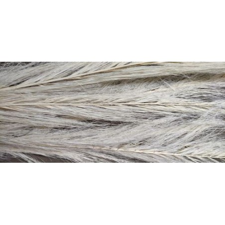 DATE JHAT BLANC SAC 5P