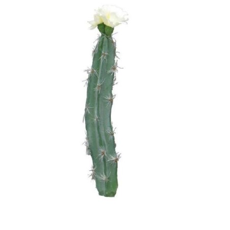 CACTUS FLEUR CREME H23CM à la pièce