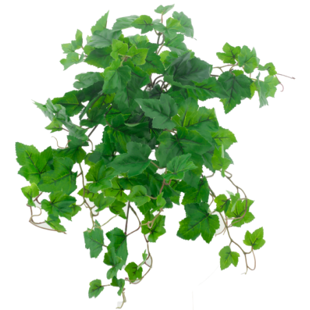 FEUILLE DE VIGNE VERTE 52CM à la pièce