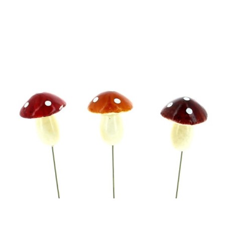 CHAMPIGNON A POIS BRILLANT SUR PIQUE les 12P