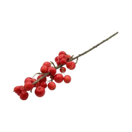 BRANCHE POMME SENTINELLE ROUGE /1P