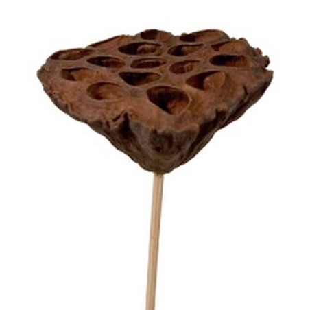 FLEUR DE LOTUS SUR PIQUE 07-10CM les 24P