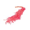 BOUQUET AMARANTHUS ROSE sachet 5 branches