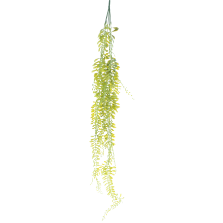 FEUILLE AESCHANTUS à suspendre 100CM à la pièce
