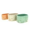 JARDINIERE FLEURETTE 17.4X11.6 H09CM les 6P
