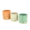 C.POT FLEURETTE 09.8 H8.8CM les 6P