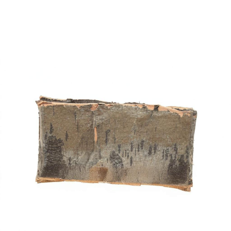 ECORCE BOULEAU 24X70CM les 5P