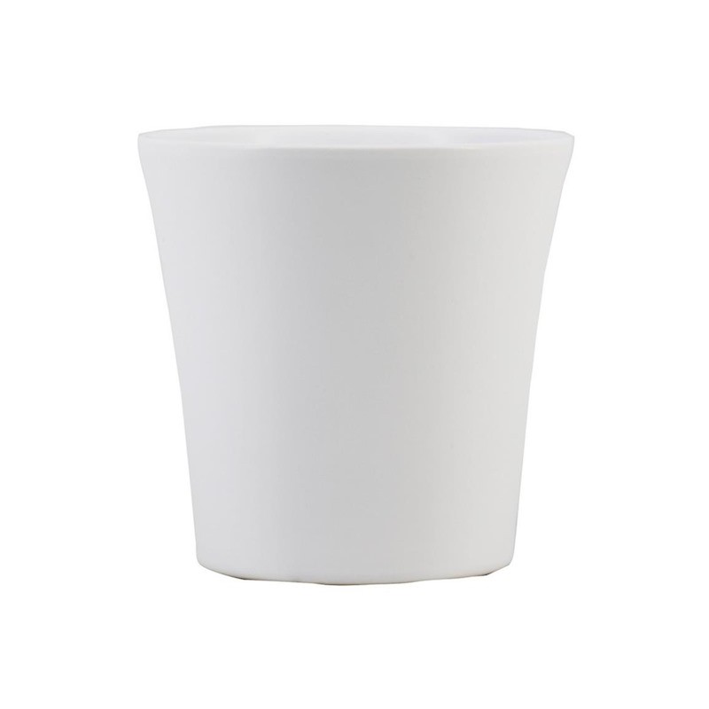 C.POT ORCHIDEE BLANC 013.5 H13.5CM les 6P