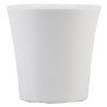 C.POT ORCHIDEE BLANC 013.5 H13.5CM les 6P