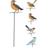 PIQUE JARDIN OISEAU METAL ASS. /12P