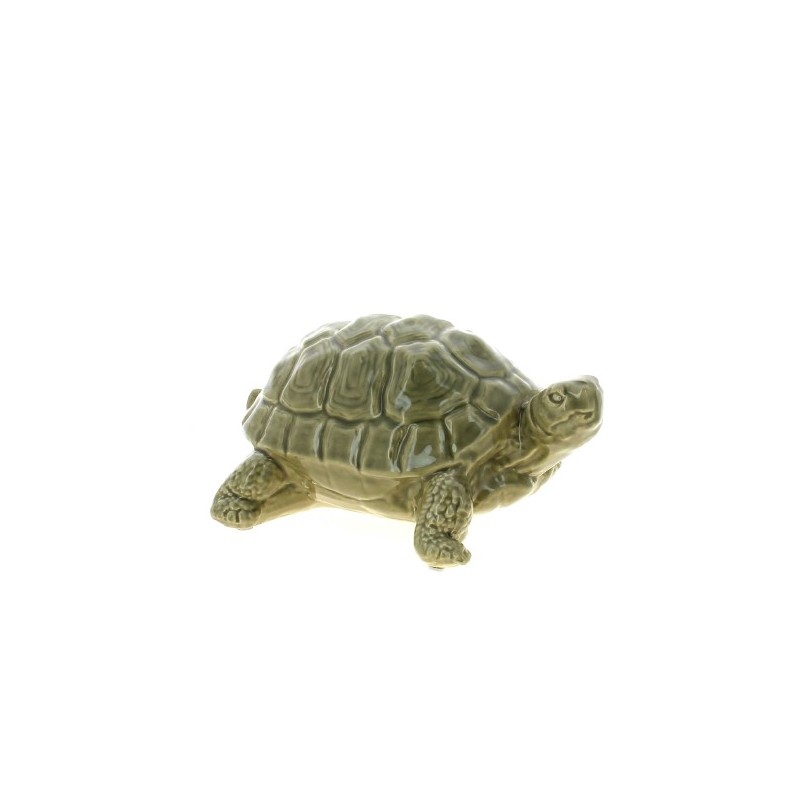 TORTUE VERNIS 27X21 H13.5CM à la pièce