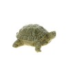 TORTUE VERNIS 27X21 H13.5CM à la pièce