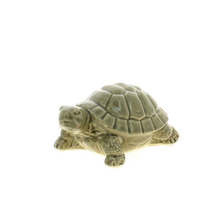 TORTUE VERNIS 18X11.7 H9.5CM à la pièce