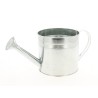 ZINC-ARROSOIR TU 014.5CM à la pièce
