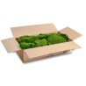VERDISSIMO-MOUSSE PLATE IGNIFUGE 1.60M2