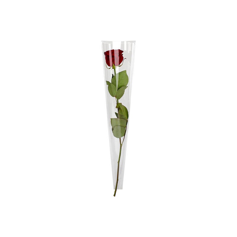 CONE A ROSE 54X12X05 les 100P
