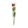 CONE A ROSE 54X12X05 les 100P
