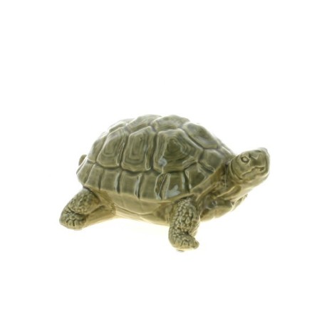 TORTUE VERNIS 27X21 H13.5CM à la pièce