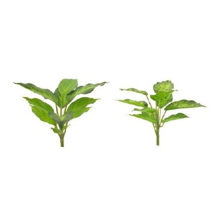 FEUILLE DIEFFENBACHIA H25CM la pièce