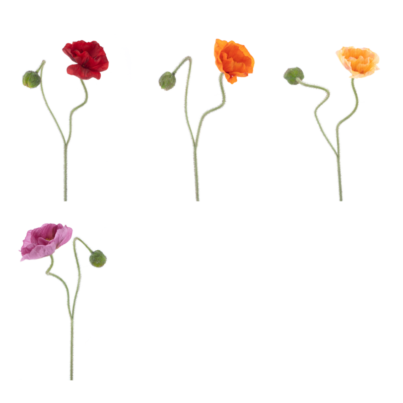 FLEUR POPPY ISLE H81CM piece