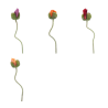 FLEUR POPPY ISLE H69CM piece