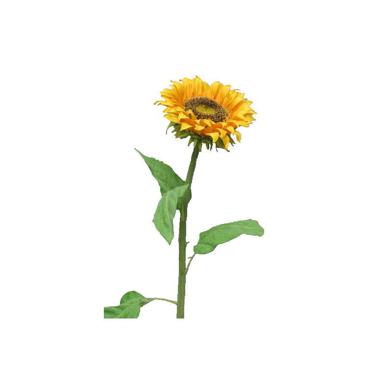 FLEUR SUNFLOWER TUSCANY H77CM piece