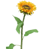 FLEUR SUNFLOWER TUSCANY H77CM piece