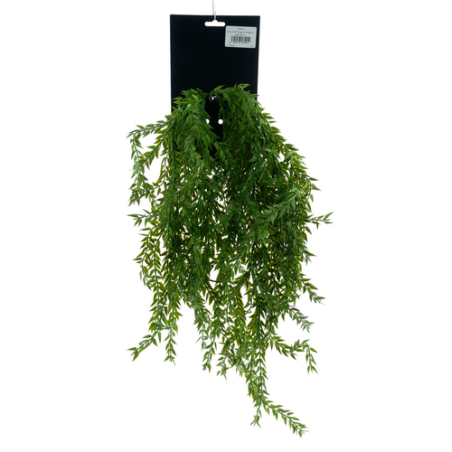 FLEUR RUSCUS BUSH LARGE H65CM piece